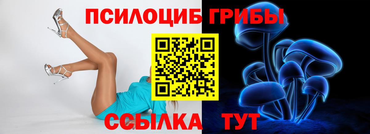 Псилоцибиновые грибы прущие грибы  Вход с VPN  Кировск 